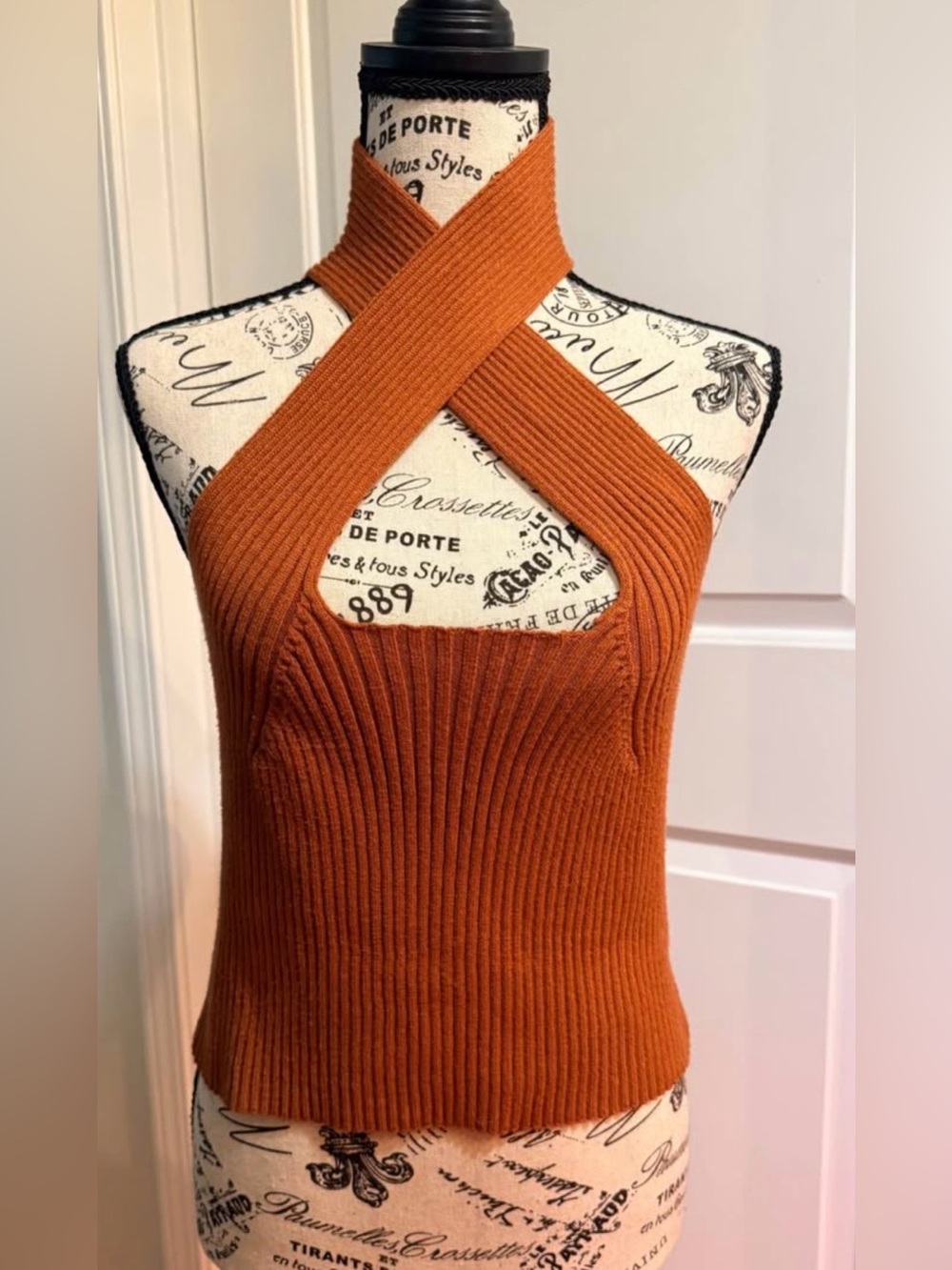 Listicle Ribbed Tank in Rust Orange - Picture 2 of 4